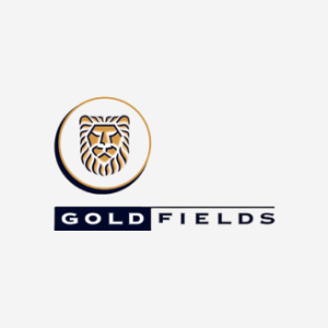 Gold Fields gold-fields-1